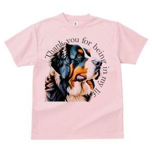 o[j[Y}EehbO TVc  j[NfUCfB[X t@  t vg lJWA 킢 lԗp Mtg I ҏ΍ TVc o[j[Y}Ee