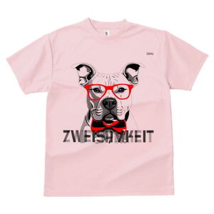 AJsbgueA TVc  j[NfUCfB[X t@  t vg lJWA 킢 lԗp Mtg I ҏ΍ Kl AJsbgu