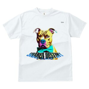 AJsbgueA TVc  j[NfUCfB[X t@  t vg lJWA 킢 lԗp Mtg I ҏ΍ lN^C AJsbg