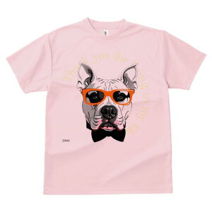 AJsbgueA TVc  j[NfUCY LbY t@  t vg lJWA 킢 lԗp Mtg I ҏ΍ Kl AJsbg