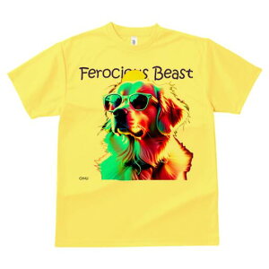 S[fgo[ TVc  j[NfUCfB[X t@  t vg lJWA 킢 lԗp Mtg I ҏ΍ TOX S[fgo[