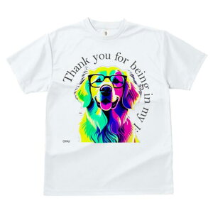 S[fgo[ TVc  j[NfUCY LbY t@  t vg lJWA 킢 lԗp Mtg I ҏ΍ Kl S[fgo[