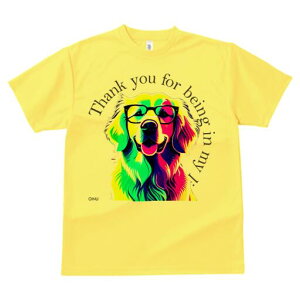 S[fgo[ TVc  j[NfUCfB[X t@  t vg lJWA 킢 lԗp Mtg I ҏ΍ Kl S[fgo[