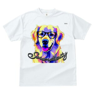 S[fgo[ TVc  j[NfUCfB[X t@  t vg lJWA 킢 lԗp Mtg I ҏ΍ Kl S[fgo[