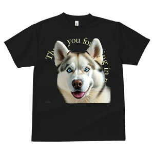 nXL[ TVc  j[NfUCfB[X t@  t vg lJWA 킢 lԗp Mtg I ҏ΍ nXL[