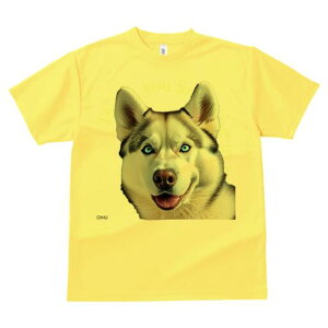 nXL[ TVc  j[NfUCfB[X t@  t vg lJWA 킢 lԗp Mtg I ҏ΍ nXL[