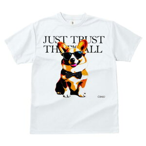 R[M[ TVc  j[NfUCfB[X t@  t vg lJWA 킢 lԗp Mtg I ҏ΍ TOX R[M[ lN^C