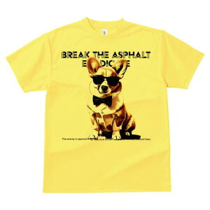 R[M[ TVc  j[NfUCfB[X t@  t vg lJWA 킢 lԗp Mtg I ҏ΍ TOX R[M[ lN^C