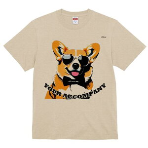 R[M[ TVc  j[NfUCfB[X t@  t vg lJWA 킢 lԗp Mtg I ҏ΍ TOX R[M[ lN^C