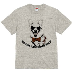 R[M[ TVc  j[NfUCfB[X t@  t vg lJWA 킢 lԗp Mtg I ҏ΍ TOX R[M[ lN^C