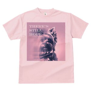 [NV[eA TVc  j[NfUCfB[X t@  t vg lJWA 킢 lԗp Mtg I ҏ΍ lN^C [NV[eA