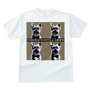 [NV[eA TVc  j[NfUCfB[X t@  t vg lJWA 킢 lԗp Mtg I ҏ΍ Kl [NV[eA lN^