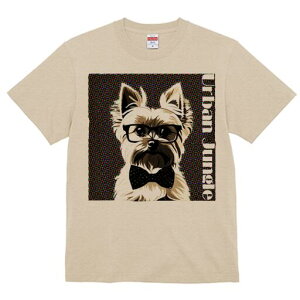 [NV[eA TVc  j[NfUCY LbY t@  t vg lJWA 킢 lԗp Mtg I ҏ΍ Kl [NV[eA lN