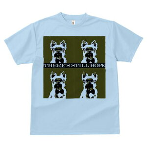 EGXgnChzCgeA TVc  j[NfUCfB[X t@  t vg lJWA 킢 lԗp Mtg I ҏ΍ Kl EGXgnC