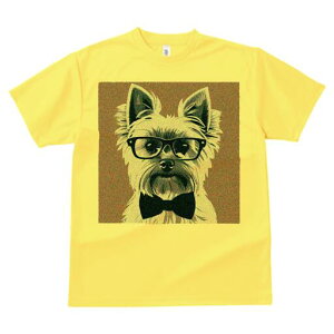 [NV[eA TVc  j[NfUCfB[X t@  t vg lJWA 킢 lԗp Mtg I ҏ΍ Kl [NV[eA lN^