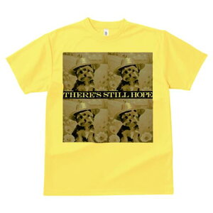 [NV[eA TVc  j[NfUCfB[X t@  t vg lJWA 킢 lԗp Mtg I ҏ΍ Xq [NV[eA 