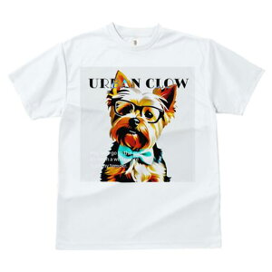 [NV[eA TVc  j[NfUCY LbY t@  t vg lJWA 킢 lԗp Mtg I ҏ΍ Kl [NV[eA lN