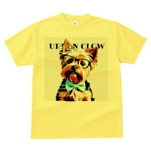 [NV[eA TVc  j[NfUCY LbY t@  t vg lJWA 킢 lԗp Mtg I ҏ΍ Kl [NV[eA lN