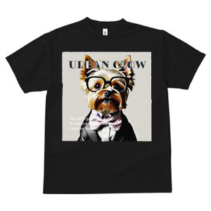 [NV[eA TVc  j[NfUCY LbY t@  t vg lJWA 킢 lԗp Mtg I ҏ΍ Kl [NV[eA lN