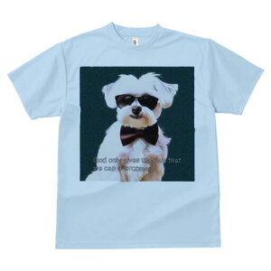 }`[Y TVc  j[NfUCfB[X t@  t vg lJWA 킢 lԗp Mtg I ҏ΍ TOX }`[Y lN^C