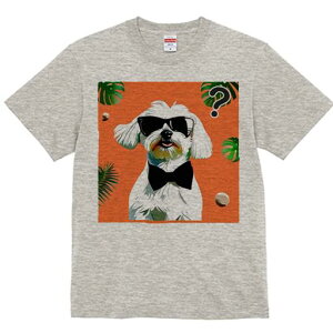 }`[Y TVc  j[NfUCfB[X t@  t vg lJWA 킢 lԗp Mtg I ҏ΍ TOX }`[Y lN^C M t