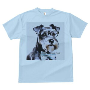 ~j`AViEU[ TVc  j[NfUCY LbY t@  t vg lJWA 킢 lԗp Mtg I ҏ΍ Kl ~j`AViEU