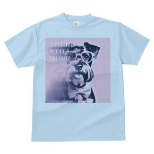 ~j`AViEU[ TVc  j[NfUCfB[X t@  t vg lJWA 킢 lԗp Mtg I ҏ΍ Kl ~j`AViEU[ 