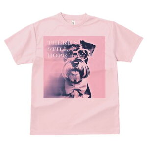 ~j`AViEU[ TVc  j[NfUCY LbY t@  t vg lJWA 킢 lԗp Mtg I ҏ΍ Kl ~j`AViEU