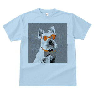 EGXgnChzCgeA TVc  j[NfUCfB[X t@  t vg lJWA 킢 lԗp Mtg I ҏ΍ TOX EGXgn