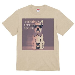 EGXgnChzCgeA TVc  j[NfUCfB[X t@  t vg lJWA 킢 lԗp Mtg I ҏ΍ Kl EGXgnC