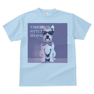 EGXgnChzCgeA TVc  j[NfUCfB[X t@  t vg lJWA 킢 lԗp Mtg I ҏ΍ Kl EGXgnC