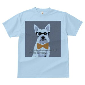 EGXgnChzCgeA TVc  j[NfUCfB[X t@  t vg lJWA 킢 lԗp Mtg I ҏ΍ Kl EGXgnC