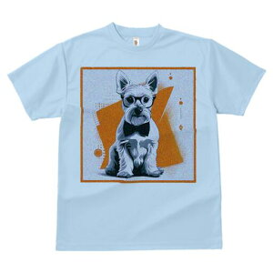 EGXgnChzCgeA TVc  j[NfUCfB[X t@  t vg lJWA 킢 lԗp Mtg I ҏ΍ Kl EGXgnC