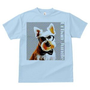 EGXgnChzCgeA TVc  j[NfUCfB[X t@  t vg lJWA 킢 lԗp Mtg I ҏ΍ Kl EGXgnC