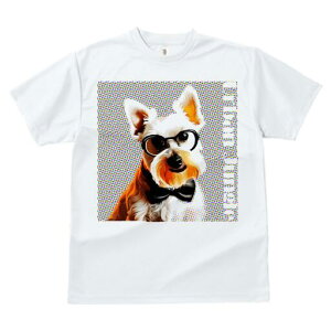 EGXgnChzCgeA TVc  j[NfUCfB[X t@  t vg lJWA 킢 lԗp Mtg I ҏ΍ Kl EGXgnC