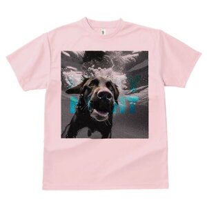 uh[go[ TVc  j[NfUCfB[X t@  t vg lJWA 킢 lԗp Mtg I ҏ΍  uh[go[ 