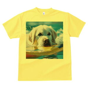 S[fgo[ TVc  j[NfUCfB[X t@  t vg lJWA 킢 lԗp Mtg I ҏ΍  S[fgo[ C