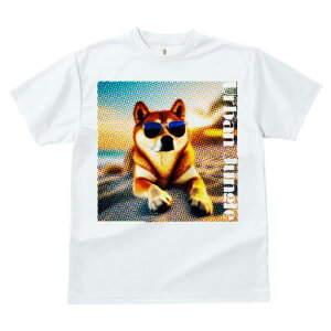 Č TVc  j[NfUCfB[X t@  t vg lJWA 킢 lԗp Mtg I ҏ΍ TOX Č