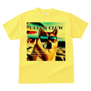 Č TVc  j[NfUCfB[X t@  t vg lJWA 킢 lԗp Mtg I ҏ΍ TOX Č r[`