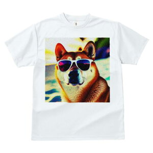 Č TVc  j[NfUCfB[X t@  t vg lJWA 킢 lԗp Mtg I ҏ΍ TOX Č