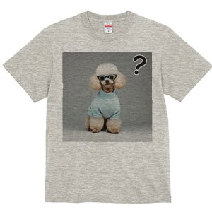 v[h TVc  j[NfUCfB[X t@  t vg lJWA 킢 lԗp Mtg I ҏ΍ Kl v[h Z[^[ ^╄