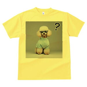 v[h TVc  j[NfUCfB[X t@  t vg lJWA 킢 lԗp Mtg I ҏ΍ Kl v[h Z[^[ ^╄