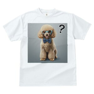 gCv[h TVc  j[NfUCfB[X t@  t vg lJWA 킢 lԗp Mtg I ҏ΍ Kl gCv[h lN^C ^╄