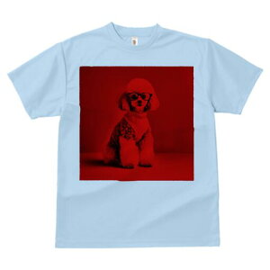 gCv[h TVc  j[NfUCY LbY t@  t vg lJWA 킢 lԗp Mtg I ҏ΍ Kl gCv[h Z[^[