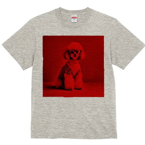 gCv[h TVc  j[NfUCfB[X t@  t vg lJWA 킢 lԗp Mtg I ҏ΍ Kl gCv[h Z[^[