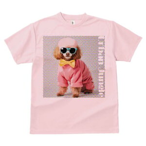 v[h TVc  j[NfUCfB[X t@  t vg lJWA 킢 lԗp Mtg I ҏ΍ TOX v[h lN^C Z[^[