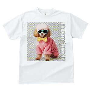 v[h TVc  j[NfUCfB[X t@  t vg lJWA 킢 lԗp Mtg I ҏ΍ TOX v[h lN^C Z[^[