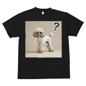 v[h TVc  j[NfUCfB[X t@  t vg lJWA 킢 lԗp Mtg I ҏ΍ Kl v[h 