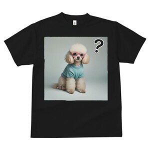 v[h TVc  j[NfUCfB[X t@  t vg lJWA 킢 lԗp Mtg I ҏ΍ Kl v[h TVc