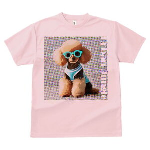 gCv[h TVc  j[NfUCfB[X t@  t vg lJWA 킢 lԗp Mtg I ҏ΍ TVc gCv[h Kl